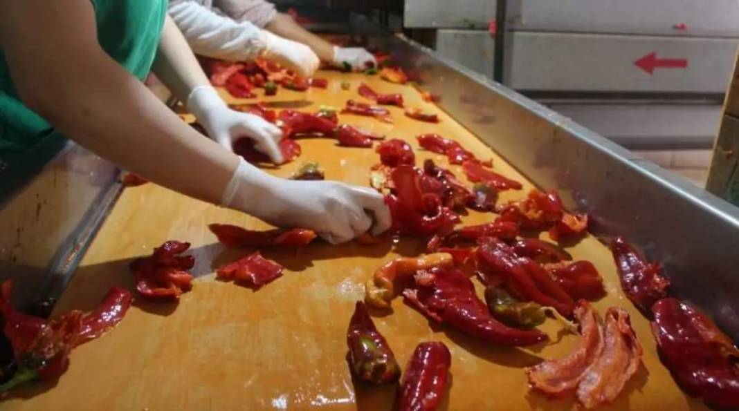 Adana’nın Tescilli Karaisalı Biberinde Salça Sezonu Açıldı 3